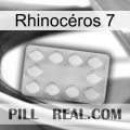 Rhinocéros 7 16